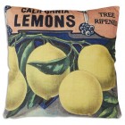 Lemons Throw Pillow (Filler Included)